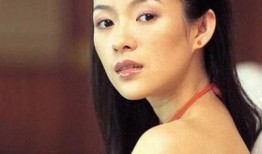 老外爆料章子怡人设视频,老外爆料揭示明星的另一面